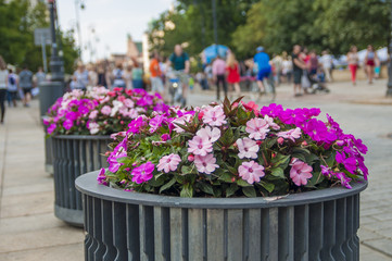 Огромные вызоны с цветами в городе полном людей