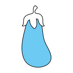 eggplant vector illustration