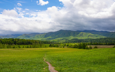 Fototapeta premium Smoky Mountain Scene4