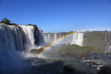 Nature in South America