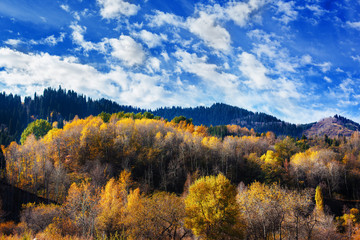 Fototapeta premium Autumn mountains in Medeo, Kazakhstan