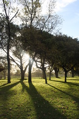 Nature in South America