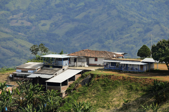 Finca cafetera