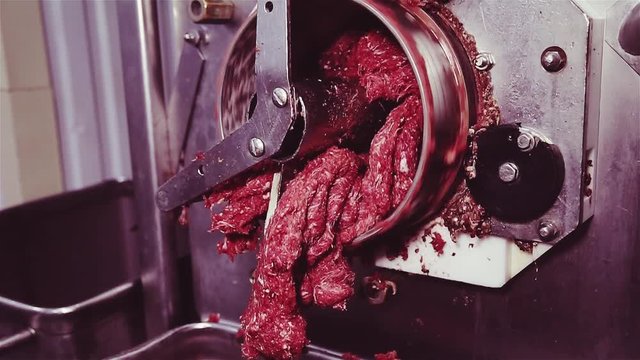 Industrial meat grinder. Process of grinding and processing meat in minced meat. Minced red chopped composition climbs out of meat grinder and we fall into metal large dishes.Meat shop in the factory.