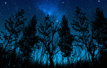 Night starry sky with a milky way and stars, in the foreground trees and bushes of forest area