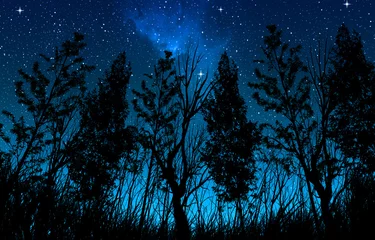 Papier Peint photo Arbres Night starry sky with a milky way and stars, in the foreground trees and bushes of forest area