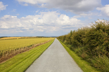 Fototapeta premium scenic farm track
