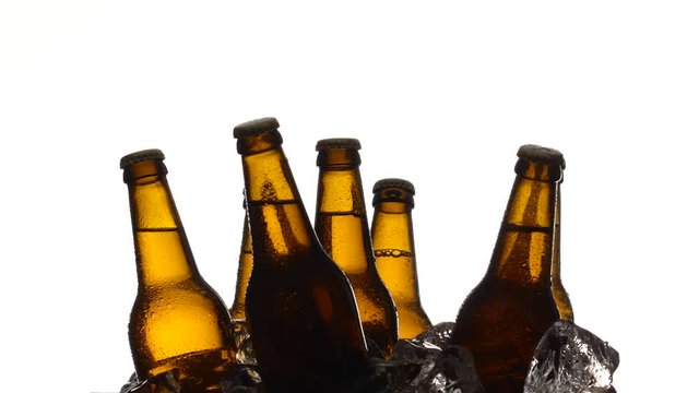 Bottles of dark cold beer in the ice. White background. Silhouette