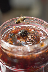 Pine cone jam and Bee