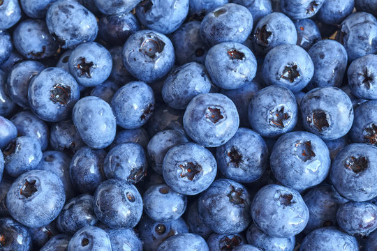 Close up picture of ripe and fresh blueberries, shallow depth of field.