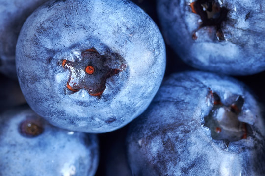 Extreme close up picture of ripe and fresh blueberries, shallow depth of field.