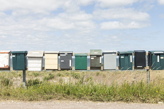 Row with mailboxes on a field