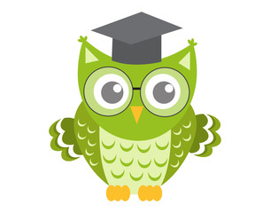 Owl in glasses with square academic cap icon, flat, cartoon style. Isolated on white background. Vector illustration