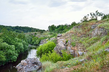 Green trees in a canyon against a cloudy sky background