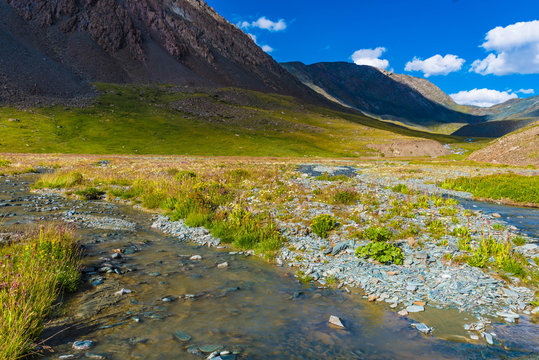 Gebirgsbach im Altai Tavan Bogd Mongolei