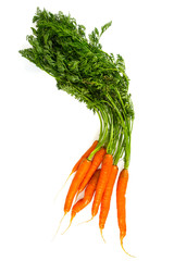 carrots isolated on white