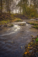 Beautiful water stream in a forest in Serbia, Central Europe