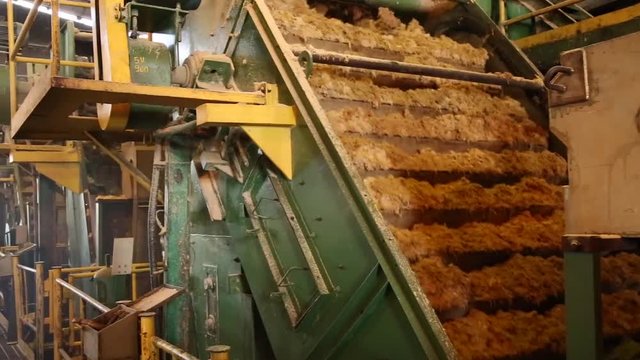 sugar cane line production industry