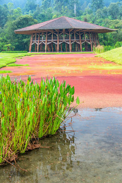 Lake and Wooden Building
