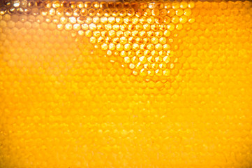 Unfinished fresh honey in honeycombs