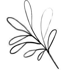 monochrome blurred silhouette of branch with oval leaves in closeup