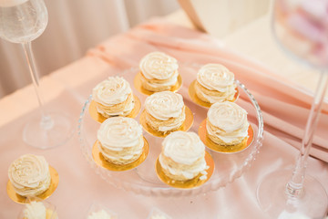 Delicious and tasty dessert table with cupcakes shots at reception closeup