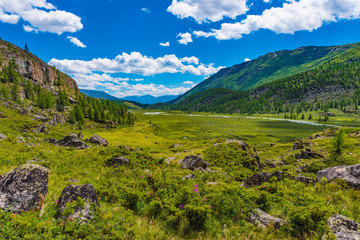 Fototapeta na wymiar Hochmoor Altai Gebirge Mongolei