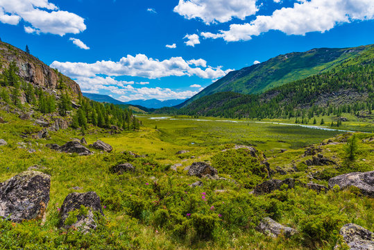 Hochmoor Altai Gebirge Mongolei