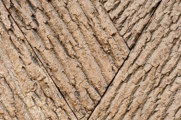 Wood bark texture