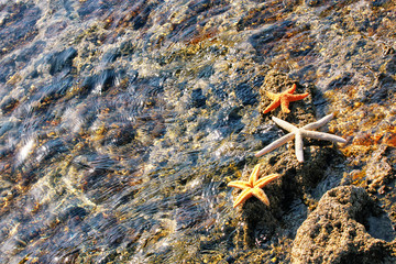 Schöner Strand im Paradies