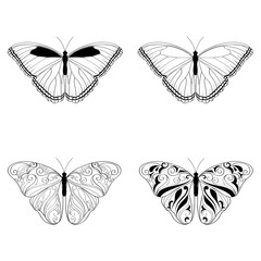 Butterfly. Vector set.