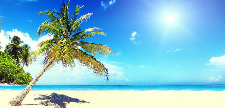 Sch&ouml;ner Strand im Paradies