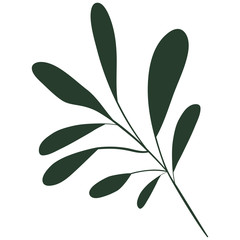 white background with colorful silhouette of branch with oval leaves