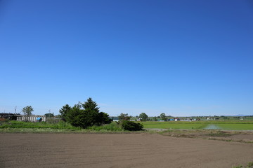 Fototapeta na wymiar Landscape of Biei Hokkaido Japan