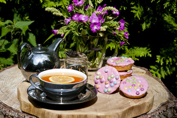 Afternoon tea and biscuits, and pink flowers in the garden