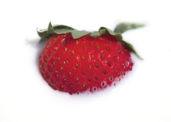 red strawberry in cream or milk dairy product and organic fruit