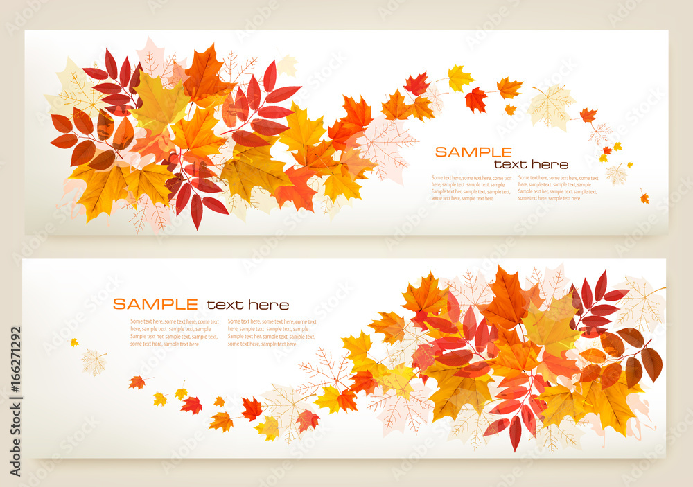 Poster two abstract autumn banners with colorful leaves vector