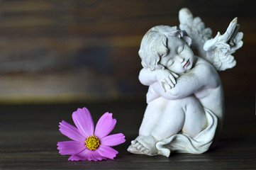 Angel and flower on wooden background
