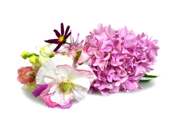 Fototapeta na wymiar Mothers day flowers isolated on white background