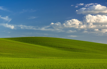Fototapeta premium Evening light on Palouse hillside