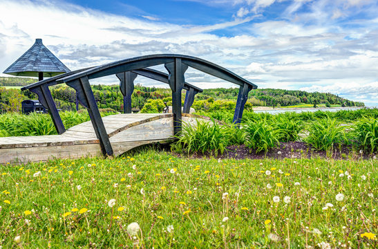 Small bridge by yellow dandelion flowers by Saint Lawrence river in La Malbaie, Quebec, Canada in Charlevoix region