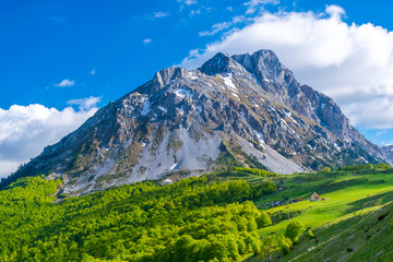 Small houses at the foot of the mountain for a holiday in Montenegro. Komovi.