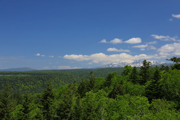 Landscape of Biei Hokkaido Japan