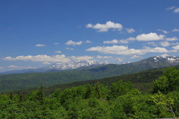Fototapeta premium Landscape of Biei Hokkaido Japan