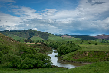 Obraz premium Typical Wairarapa