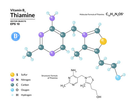 Structural chemical molecular formula and model of thiamine. Atoms are represented as spheres with color coding isolated on background. 2d or 3d visualization and skeletal formula. Vector illustration