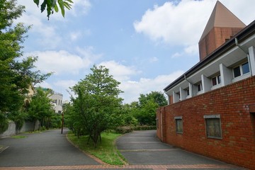 Obraz premium 夏の散歩道