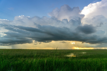 Overlooking the Everglades at Sunset