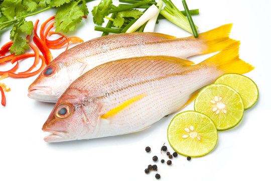 delicious portion of fresh fish fillet with aromatic herbs spices