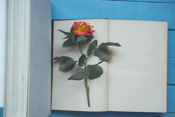 Books with a rose